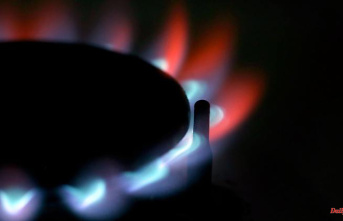 Saxony-Anhalt: Gas suppliers in Saxony-Anhalt are raising prices