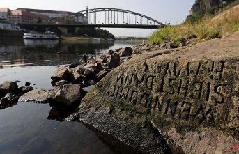 "If You See Me, Cry": Low Water Exposes Hunger Stones in Rivers
