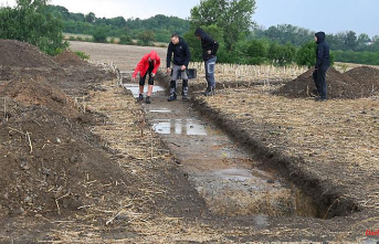 Saxony-Anhalt: Archaeologists find bones near Harzgerode and Quedlinburg