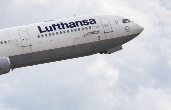 Lufthansa and Verdi agree on wage increases for ground staff