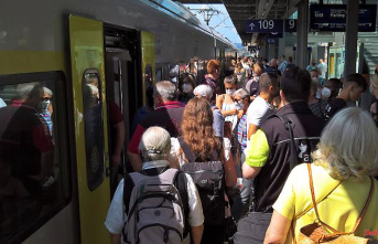 Significantly more passengers: 9-euro ticket inspires local transport