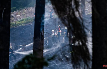 North Rhine-Westphalia: Forest fire near Plettenberg under control