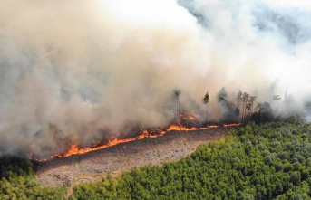 Forest fire near Plettenberg is under control - state government presents new concept