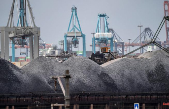 The search for alternatives is ongoing: the EU is concerned about the import ban on Russian coal