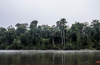 Ecotourism as a way out: How an Amazon national park wants to survive