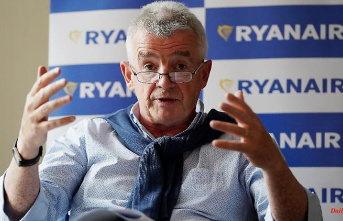 More expensive fuel, higher prices: Ryanair boss sees the end of ten-euro flights