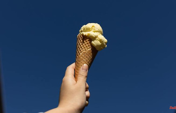 Mecklenburg-Western Pomerania: Every fifth ice cream is hygienically objectionable