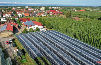 Baden-Württemberg: So far no simplified approval for agri-photovoltaics