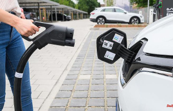 Pull the plug now: e-cars and eco-fuel: the climate needs both