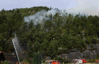 Saxony: The situation in the national park remains serious: the fire in Oybin is extinguished