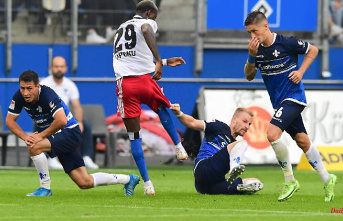 Violence and trouble in Magdeburg: The HSV goes down in the flood of tickets