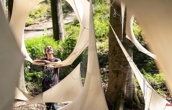 Hesse: New art under trees: 11th forest art path in Darmstadt
