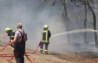 Thuringia: DWD expects a significant increase in the risk of forest fires