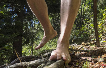 Regularity is crucial: you should keep this in mind when walking barefoot