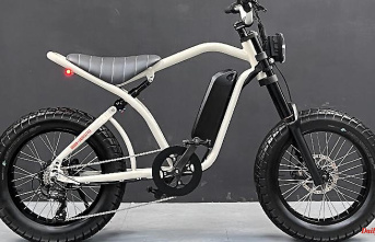 Pedelec with moped airs: e-moped Uni Viper - city cruiser with fat tires