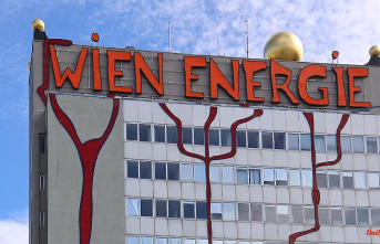 Vienna electricity supplier in dire straits: Wien Energie needs billions in aid from the federal government