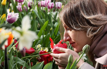 Sex, stress and peace of mind: the sense of smell is often underestimated