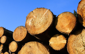 What to consider when ordering firewood