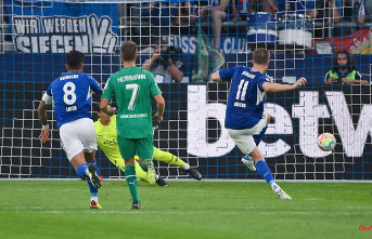 Draw in added time: VAR lets Schalke 04 celebrate very late this time