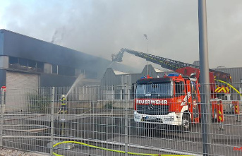 Baden-Württemberg: Probably millions of dollars in damage again after a fire in the disposal company