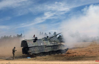 From howitzers to cheetahs: what Germany has delivered to Ukraine so far