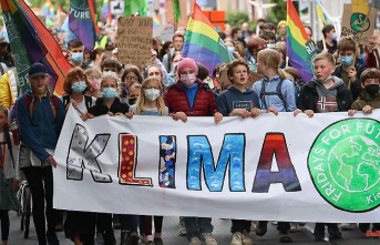 Saxony-Anhalt: Fridays for Future: climate strikes in several cities