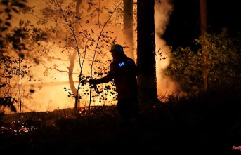 Bavaria: The risk of forest fires increases again: rain from Thursday