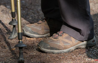 Baden-Württemberg: The shoes are laced again at the German Hiking Day