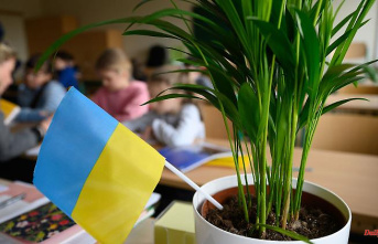 North Rhine-Westphalia: School start: More children from Ukraine at NRW schools