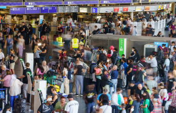 Airport chaos – hundreds of foreign workers expected