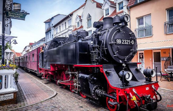 Mecklenburg-Western Pomerania: 9-euro ticket for traditional trains in MV not a permanent solution