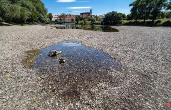Bavaria: Danube: Too warm water endangers aquatic organisms