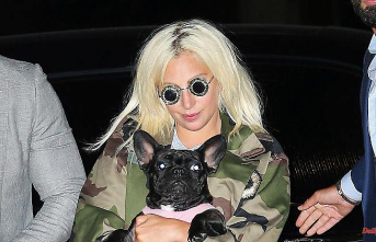 20-year-old man admits robbery of Lady Gaga's dogs must be behind bars