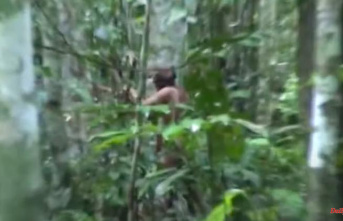 Extinct people in the Amazon: "Loneliest man in the world" is dead