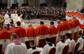 No Germans: Pope appoints 20 new cardinals