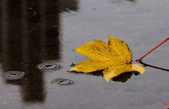 North Rhine-Westphalia: Wet and cold weather expected in NRW