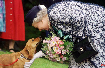 £2,500 for a Corgi: The Queen's favorite dogs hit top price