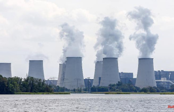 More coal and wind: German electricity production reacts to the gas crisis