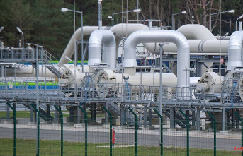 Sabotage speculation: Operator finds multiple damage to Nord Stream pieplines