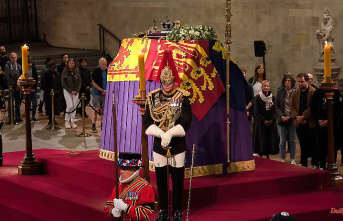 Westminster Hall incident: man arrested at Queen's coffin