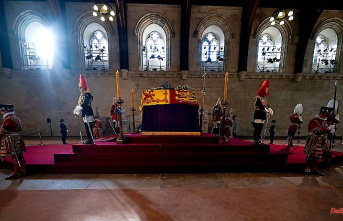 Millions want to say goodbye: security guard collapses on the Queen's coffin