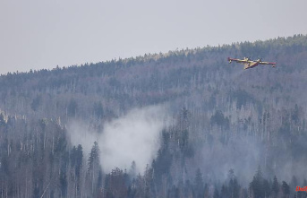 Disabled by onlookers: fire brigade brings fire in the Harz Mountains under control