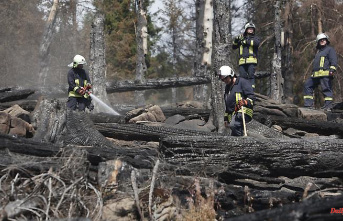 Saxony-Anhalt: the disaster in the Harz Mountains ended