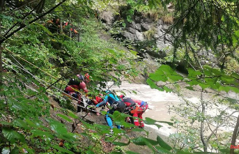 Bavaria: group in Starzlachklamm surprised by flood: woman missing