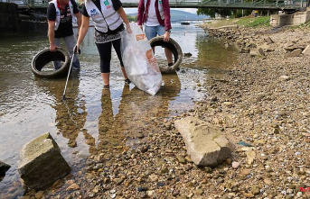 North Rhine-Westphalia: Tens of thousands of volunteers are expected for the "RhineCleanUp".
