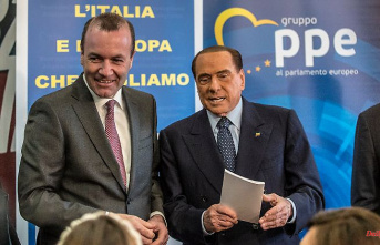 Right-wing alliance in Italy: Söder reprimands Weber for Berlusconi election campaign