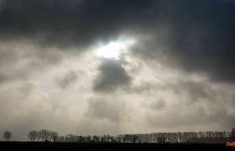 Hessen: Individual showers, fog and ground frost in sight