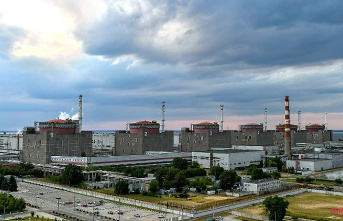 "In the safest condition": Operator shuts down Zaporizhia nuclear plant completely