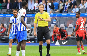 Anger also about Kimmich-Faller: Referee defends non-Elfer after Hertha anger