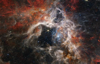 Star nursery: "James Webb" telescope shows details of the Tarantula Nebula
